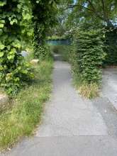 Bild zu gemeldetem Anliegen vom *2024-06-12 12:35:16