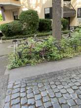 Bild zu gemeldetem Anliegen vom *2024-06-13 17:54:25