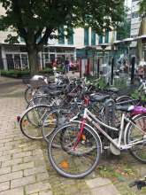 Bild zu gemeldetem Anliegen vom *2024-06-03 12:15:56