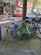 Bild zu gemeldetem Anliegen vom *2024-07-10 22:47:26