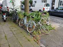 Bild zu gemeldetem Anliegen vom *2024-07-08 11:14:32
