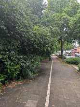 Bild zu gemeldetem Anliegen vom *2024-07-04 10:09:38