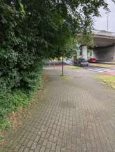 Bild zu gemeldetem Anliegen vom *2024-07-04 09:33:29