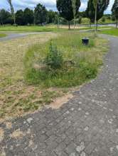 Bild zu gemeldetem Anliegen vom *2024-07-10 16:03:48