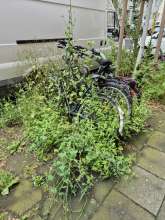 Bild zu gemeldetem Anliegen vom *2024-07-03 16:59:39