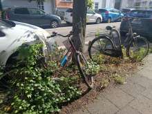 Bild zu gemeldetem Anliegen vom *2024-07-04 15:29:51