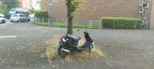 Bild zu gemeldetem Anliegen vom *2024-07-19 19:21:10