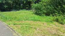 Bild zu gemeldetem Anliegen vom *2024-07-19 09:27:43