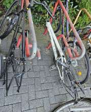Bild zu gemeldetem Anliegen vom *2024-07-23 12:35:44