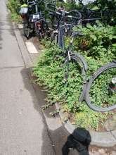 Bild zu gemeldetem Anliegen vom *2024-07-04 14:55:10