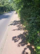 Bild zu gemeldetem Anliegen vom *2024-07-01 08:11:50