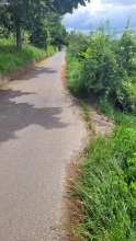Bild zu gemeldetem Anliegen vom *2024-07-11 14:14:54
