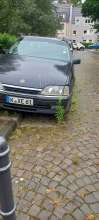 Bild zu gemeldetem Anliegen vom *2024-07-02 09:30:36