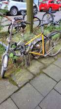 Bild zu gemeldetem Anliegen vom *2024-07-04 15:29:51