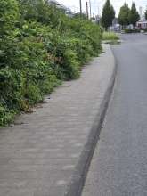 Bild zu gemeldetem Anliegen vom *2024-07-07 13:03:33