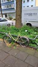 Bild zu gemeldetem Anliegen vom *2024-07-16 17:11:16