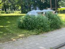 Bild zu gemeldetem Anliegen vom *2024-07-15 12:29:07