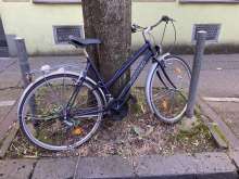 Bild zu gemeldetem Anliegen vom *2024-07-11 09:52:12
