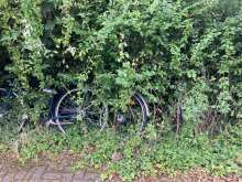 Bild zu gemeldetem Anliegen vom *2024-07-16 10:02:27