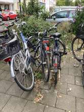 Bild zu gemeldetem Anliegen vom *2024-07-24 17:33:31