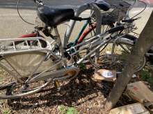 Bild zu gemeldetem Anliegen vom *2024-07-24 17:49:35