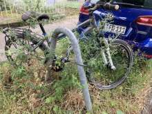 Bild zu gemeldetem Anliegen vom *2024-07-27 12:28:14