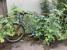 Bild zu gemeldetem Anliegen vom *2024-07-27 13:37:37