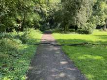 Bild zu gemeldetem Anliegen vom *2024-07-11 09:27:58