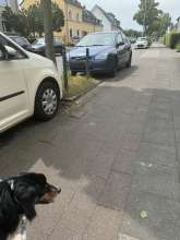 Bild zu gemeldetem Anliegen vom *2024-07-19 12:36:56