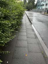 Bild zu gemeldetem Anliegen vom *2024-07-02 12:33:45