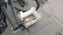 Bild zu gemeldetem Anliegen vom *2024-07-23 12:35:44