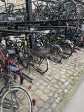 Bild zu gemeldetem Anliegen vom *2024-07-06 12:28:20