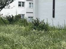 Bild zu gemeldetem Anliegen vom *2024-07-07 10:02:18