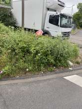 Bild zu gemeldetem Anliegen vom *2024-07-06 09:30:35