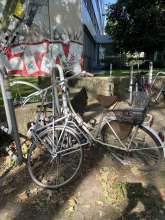 Bild zu gemeldetem Anliegen vom *2024-07-10 11:22:52