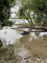 Bild zu gemeldetem Anliegen vom *2024-07-12 18:27:53