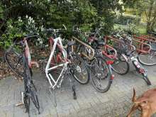 Bild zu gemeldetem Anliegen vom *2024-07-12 10:39:49