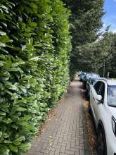 Bild zu gemeldetem Anliegen vom *2024-07-10 12:31:53