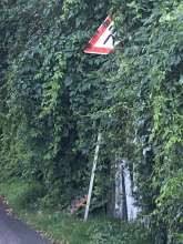 Bild zu gemeldetem Anliegen vom *2024-07-29 18:34:36