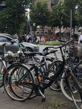 Bild zu gemeldetem Anliegen vom *2024-07-13 12:33:31