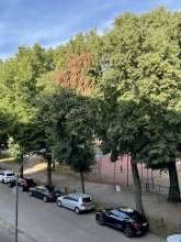 Bild zu gemeldetem Anliegen vom *2024-07-06 18:27:53