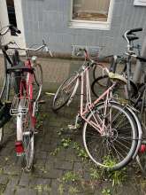Bild zu gemeldetem Anliegen vom *2024-07-10 06:29:26