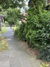 Bild zu gemeldetem Anliegen vom *2024-07-07 18:54:01