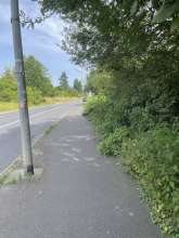 Bild zu gemeldetem Anliegen vom *2024-07-01 11:07:15