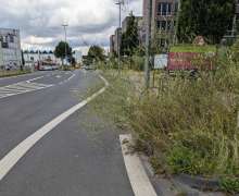 Bild zu gemeldetem Anliegen vom *2024-07-10 12:31:53