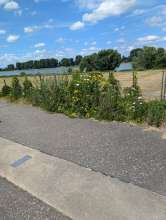 Bild zu gemeldetem Anliegen vom *2024-07-11 17:14:56