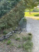 Bild zu gemeldetem Anliegen vom *2024-07-30 10:01:37
