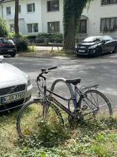 Bild zu gemeldetem Anliegen vom *2024-07-08 11:42:43