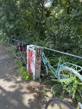 Bild zu gemeldetem Anliegen vom *2024-07-08 13:13:33