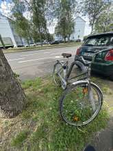 Bild zu gemeldetem Anliegen vom *2024-07-08 13:19:13